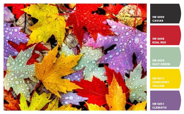 Quelle sera votre palette de couleurs de l'automne? (Partie 1)