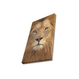 Magnificent Lion Canvas Print