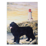 Storm - Newfoundland Watch Dog Art Print