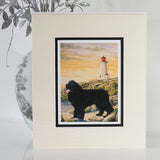 Storm - Newfoundland Watch Dog Art Print